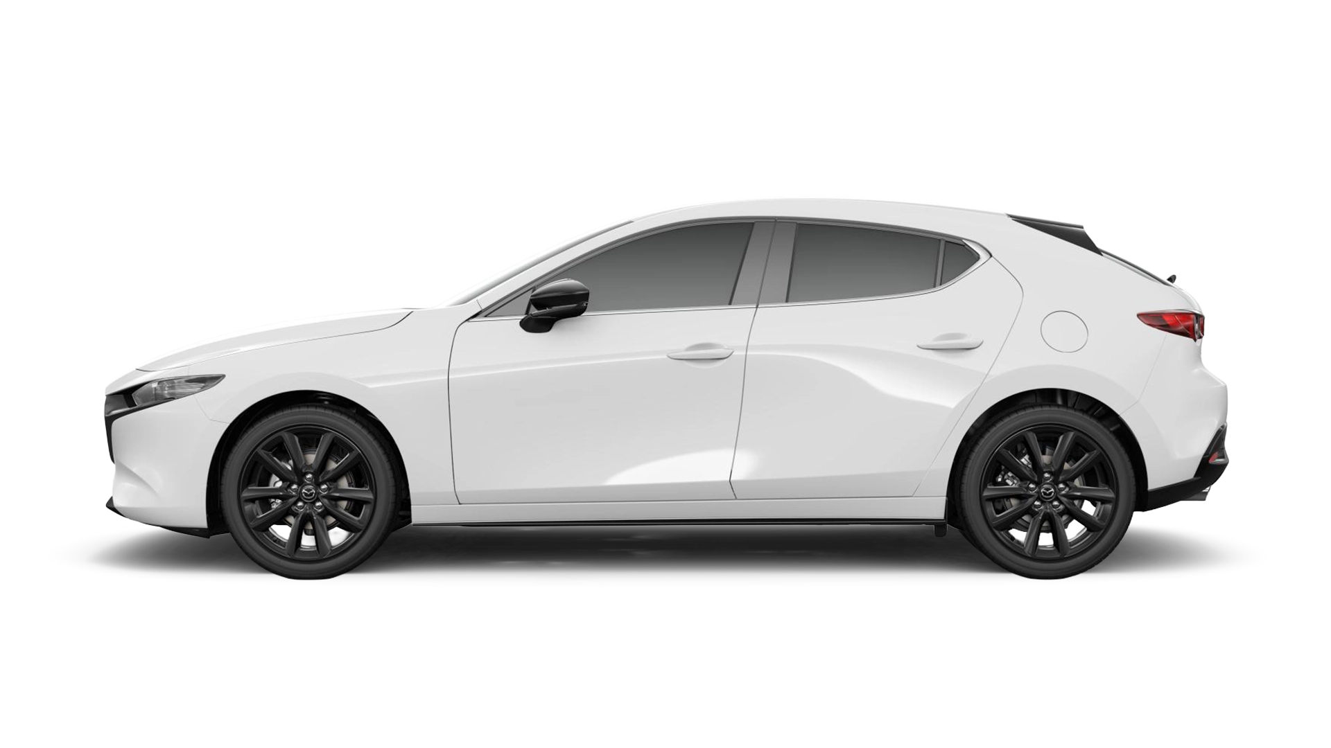 Arctic White
