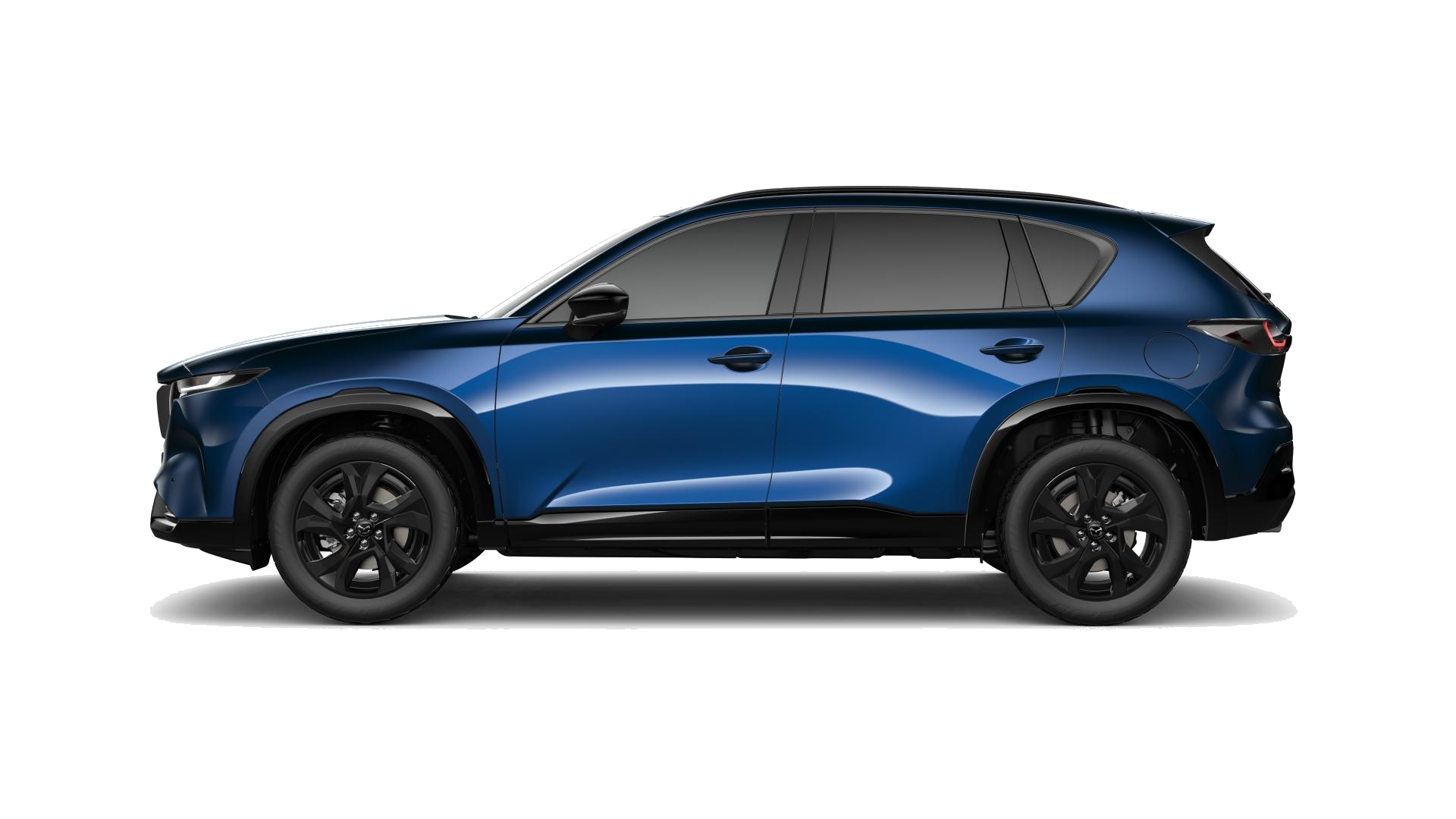Navy Blue Mica